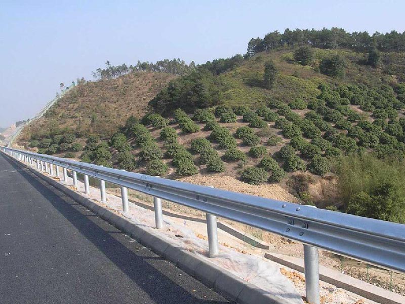 �ɲ��o�ڰ�