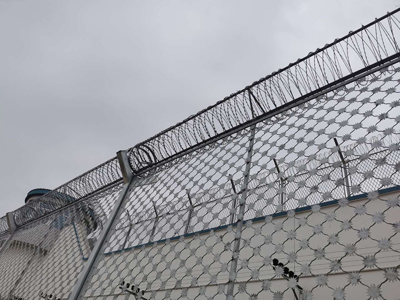 ÷���̾W��B