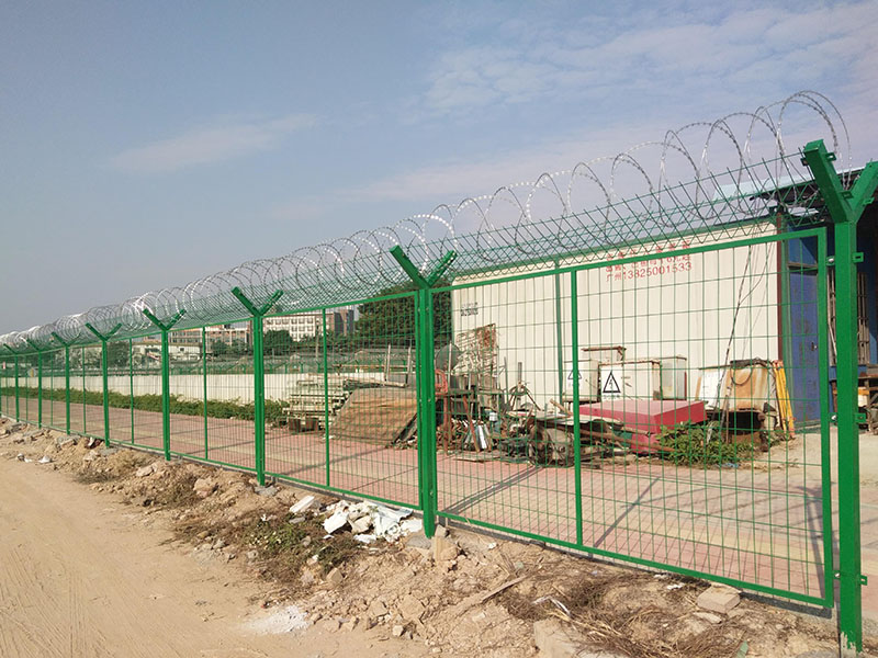 �C(j��)���o(h��)�W(w��ng)