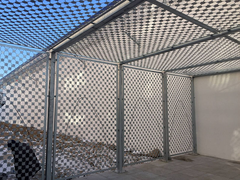 ÷���̾WҎ��